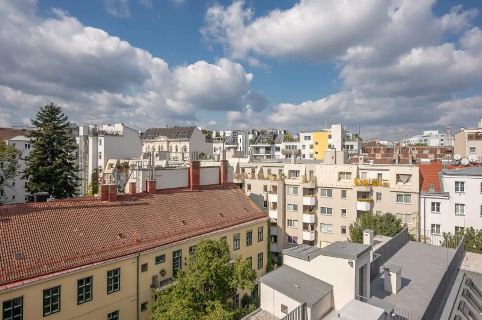 ++MOLLARD 50++ Outstanding 3-room apartment in a prime central location (1/28)