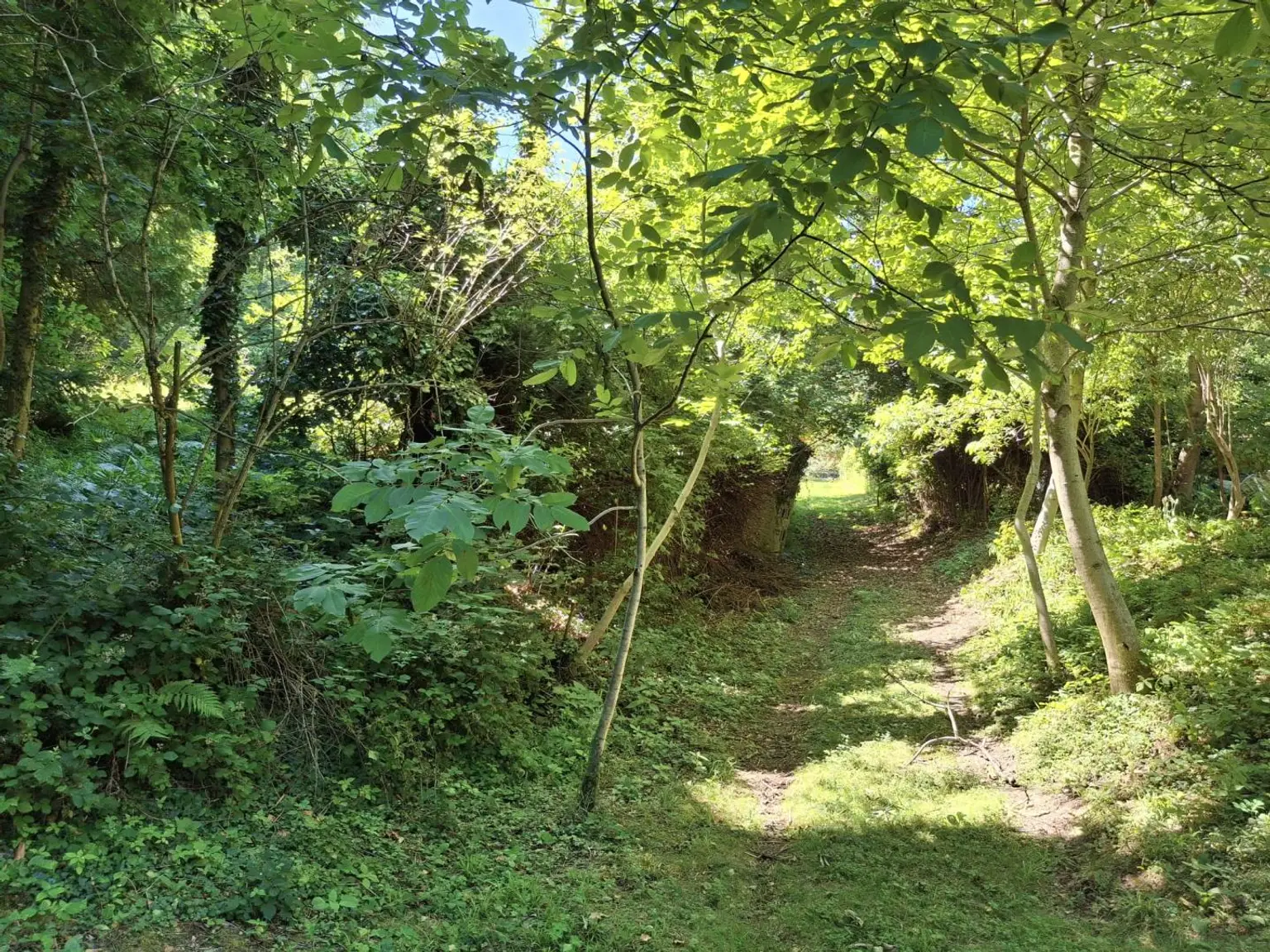 Grundstück für Freigeister in idyllischer Waldlage