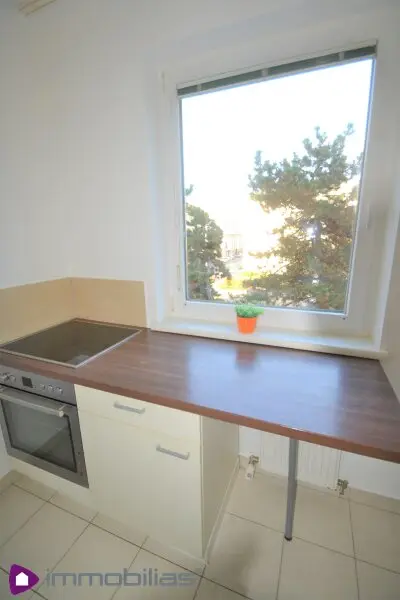 Ein Katzensprung zur U2 und zum Mühlwasser!