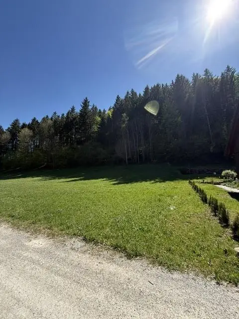 image8