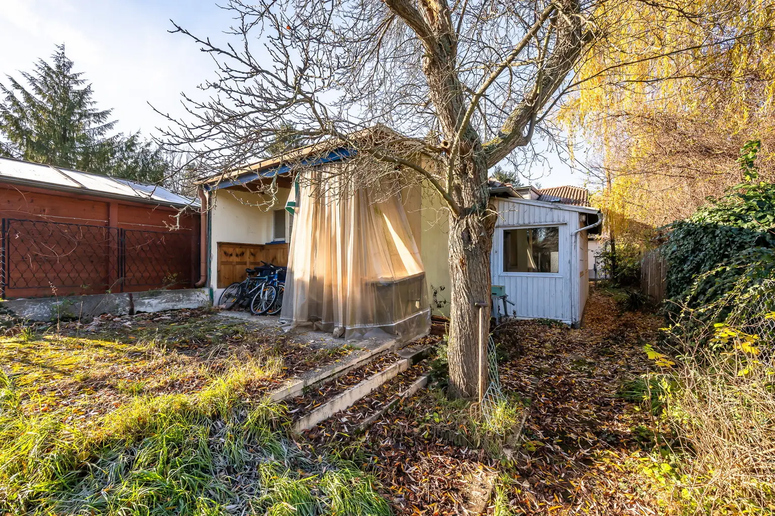 Altbestand im Grünland