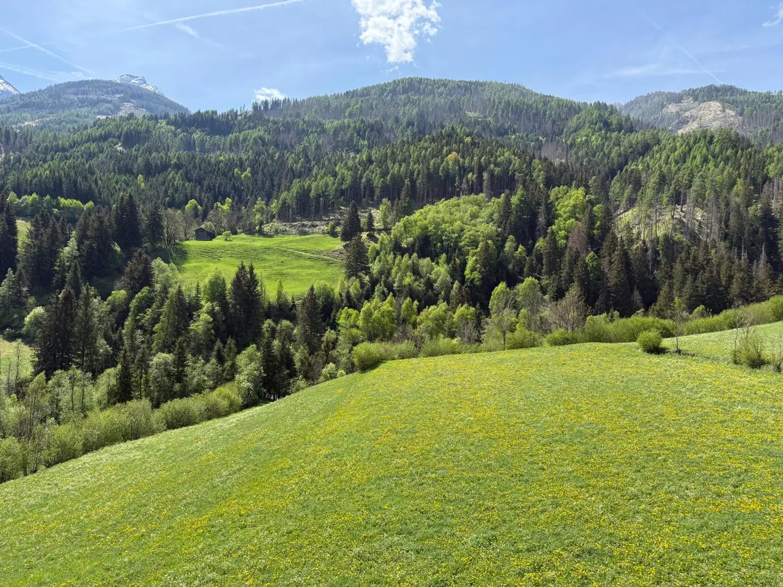 Ausblick vom Südbalkon