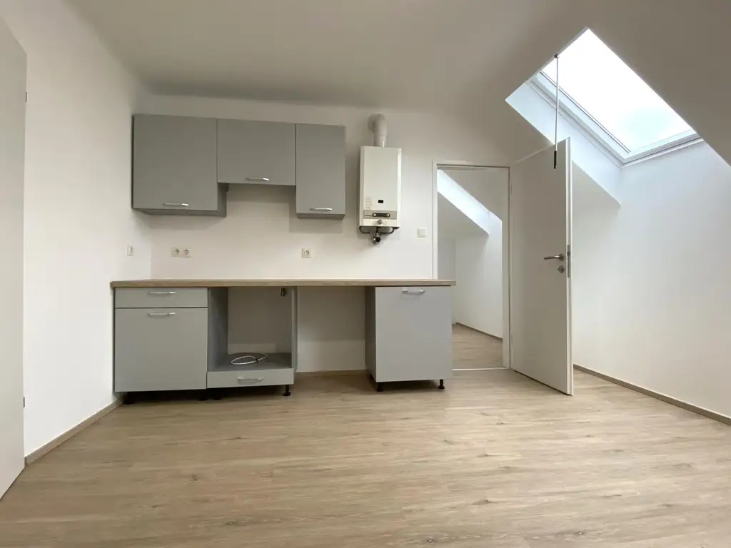 Frisch sanierte DG-Wohnung nahe AKH/U6