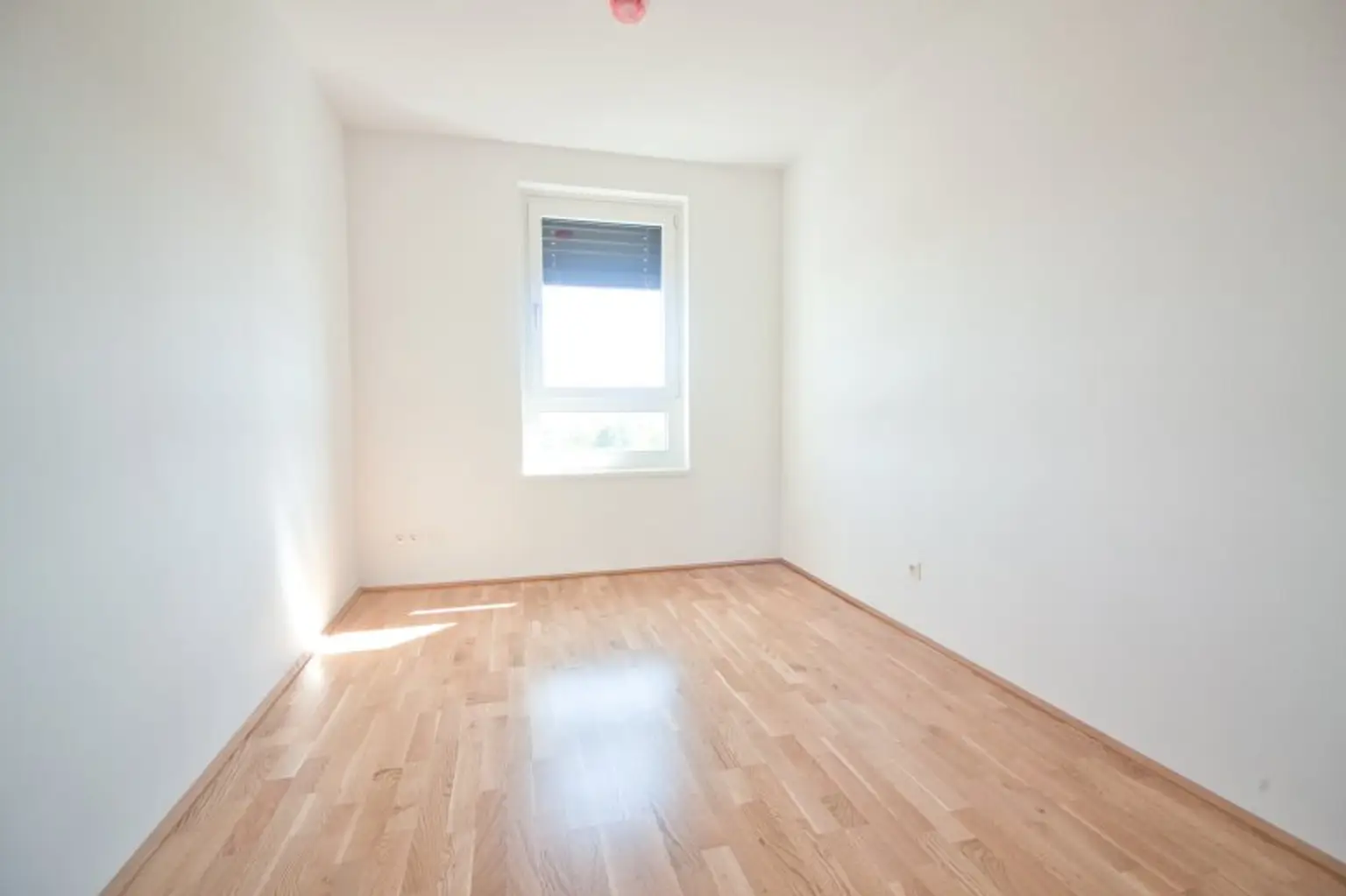 Neubau mit Style – 4-Zimmer-Wohnung mit Terrasse, Balkon & WG-Potenzial