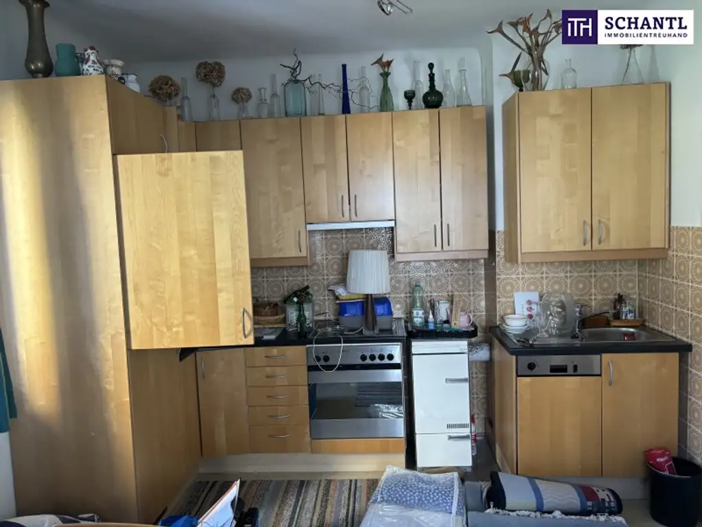 ++GARTENWOHNUNG in in RUHIGER STRASSGANGER-LAGE++ GARTENNUTZUNG ca. 280m², CARPORT++ LEICHT SANIERUNGSBEDÜRFTIG++