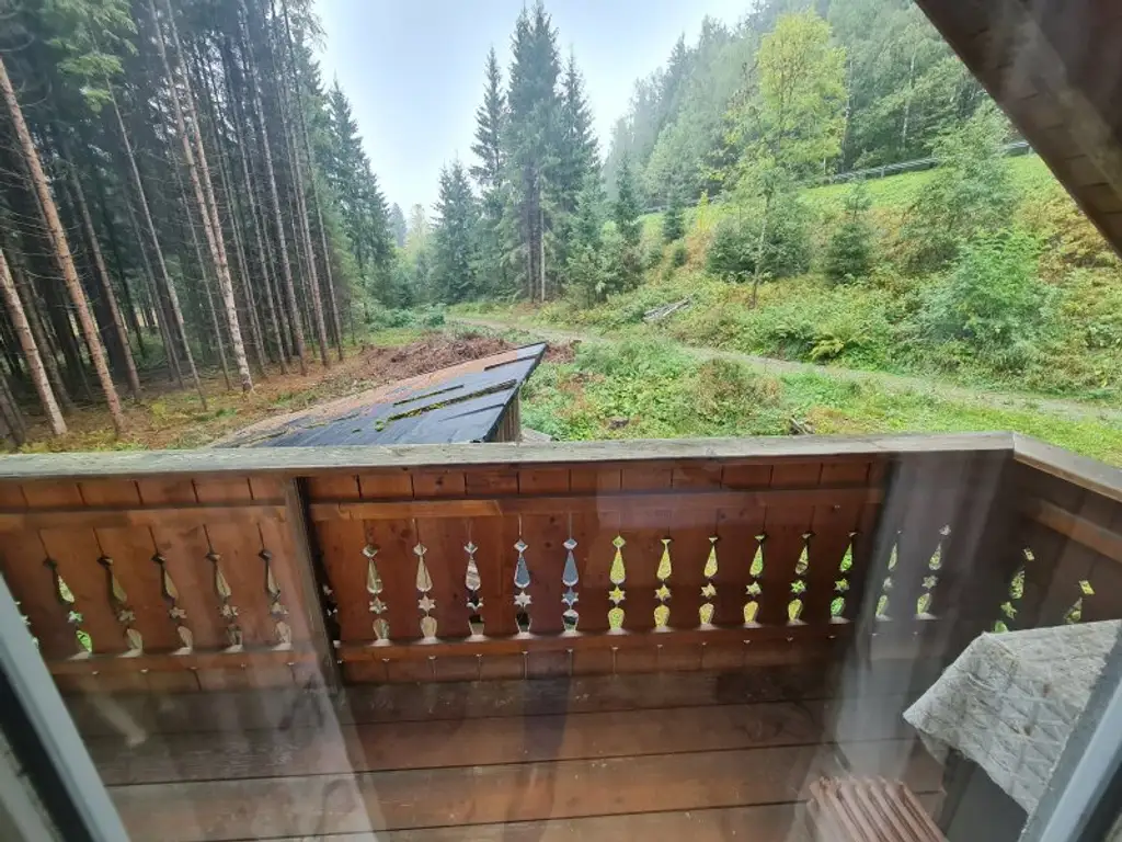Teilsaniertes Wohnhaus am Waldesrand am Fuße der Nockberge