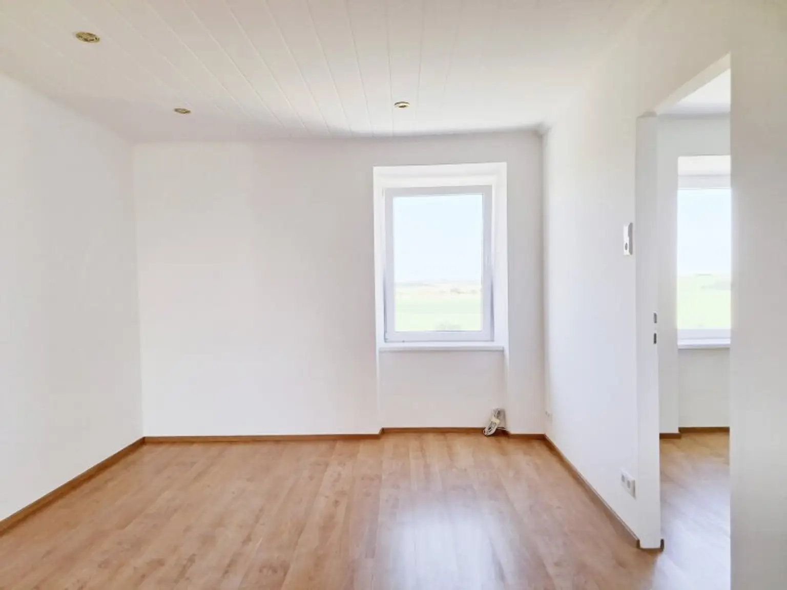 Eine helle Wohnung im Grünen!