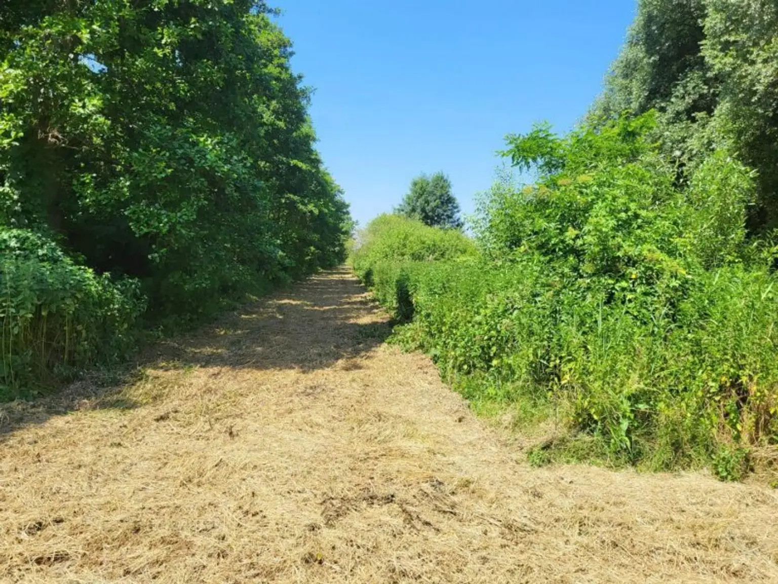 Somogysámson Weg2