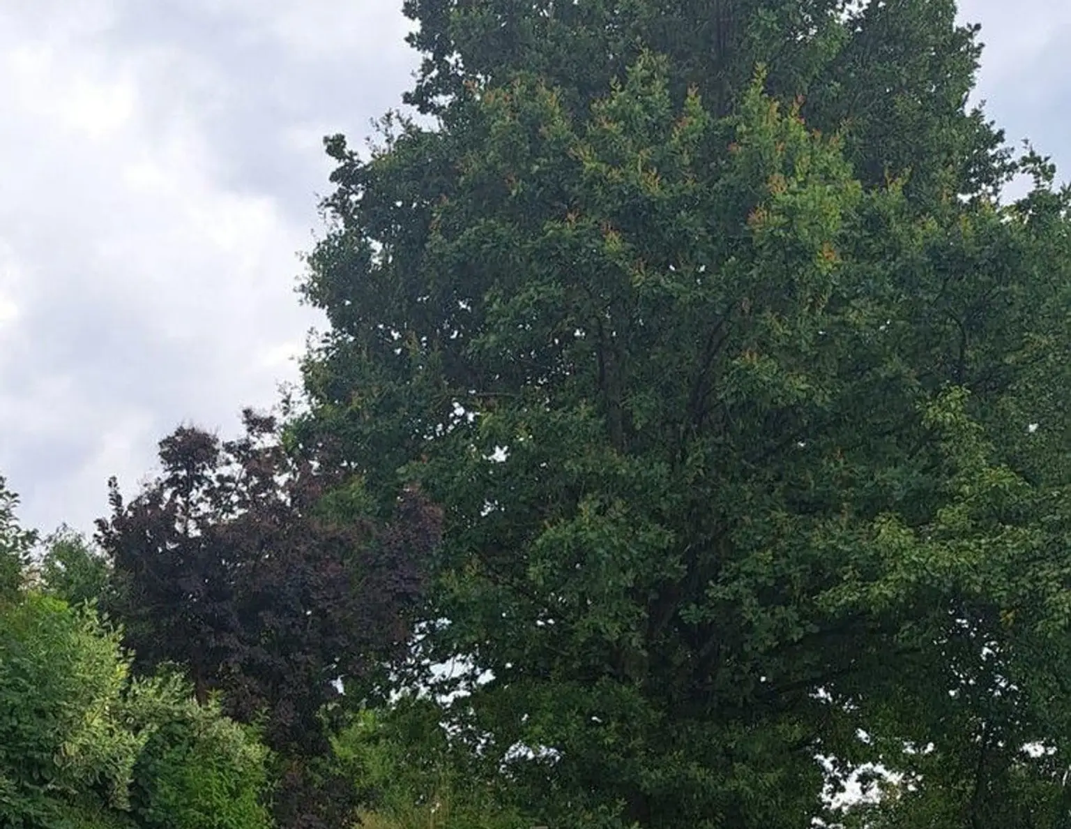 Wohnen am Land aber in Stadtnähe