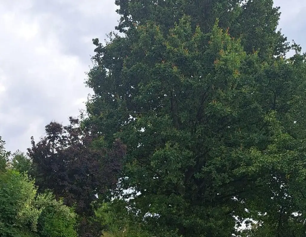 Wohnen am Land aber in Stadtnähe