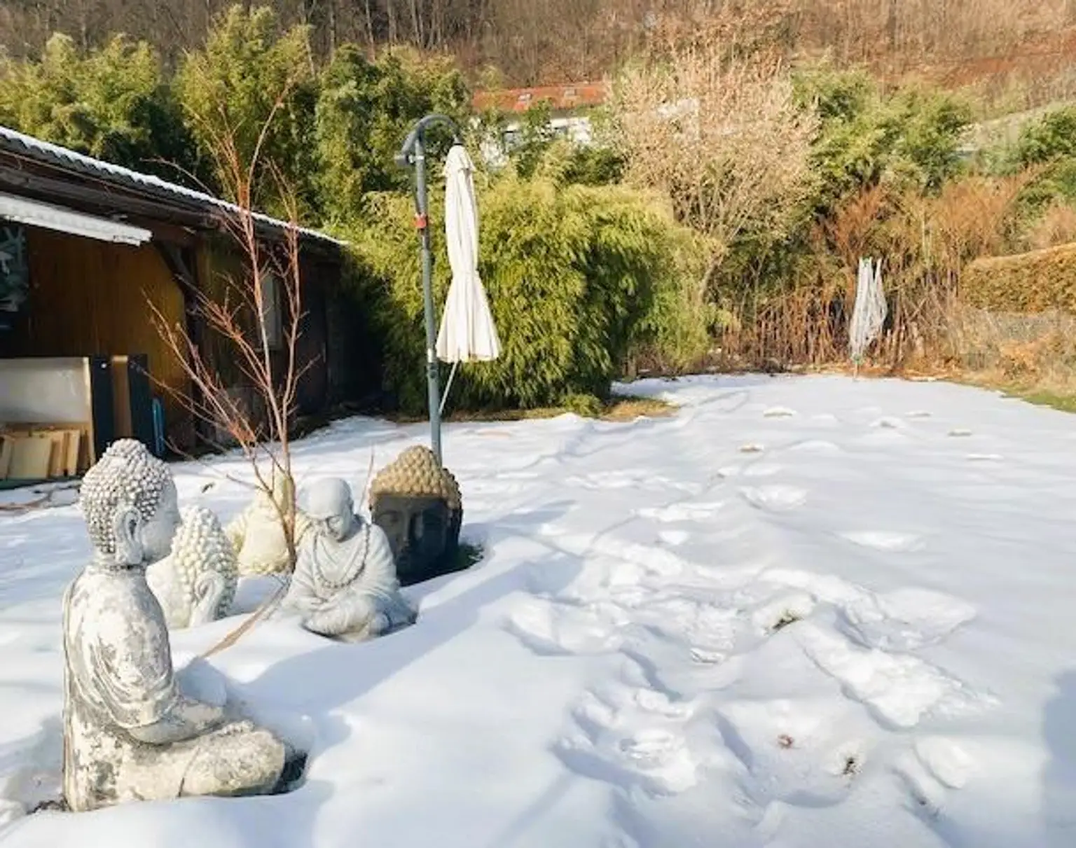Überdachter Sitzplatz beim Gartenhaus, Wiese und Biotop