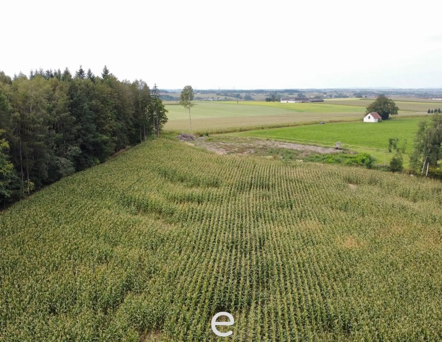 Sattledt - 2,5ha Betriebsbaugrund direkt an der Autobahn!