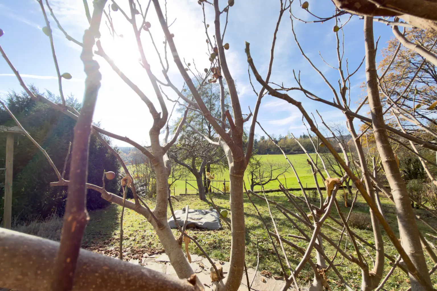 Licht, Leben & Landschaft – Ein Haus mit Herz in Thal bei Graz