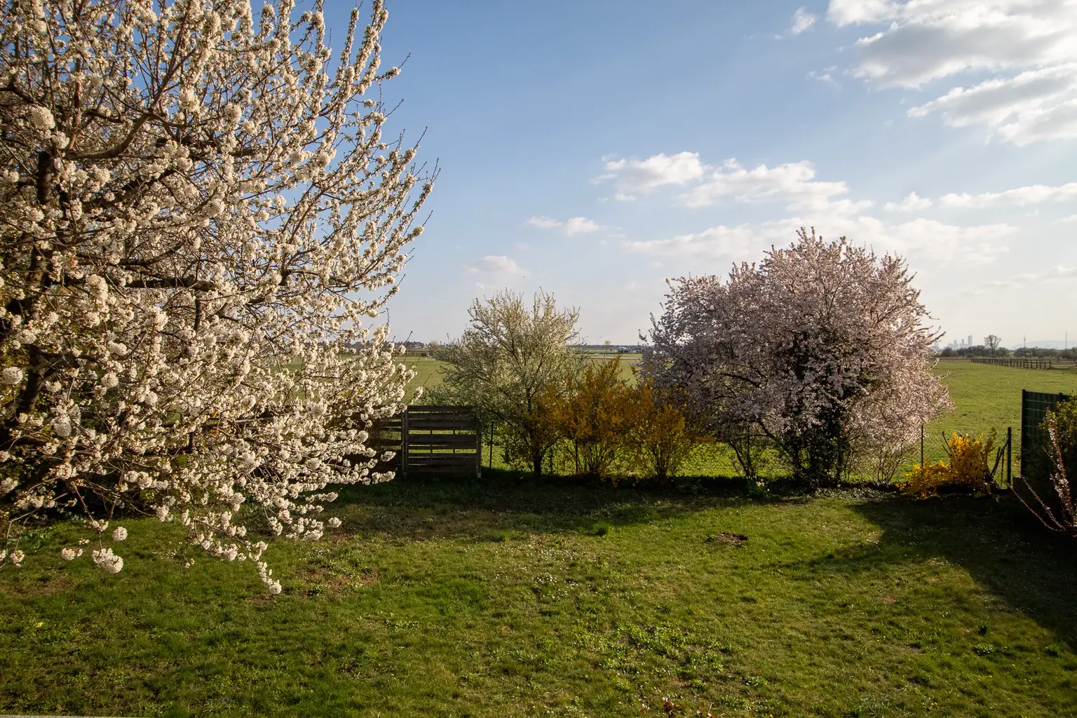 Blick von der Terrasse in den Garten