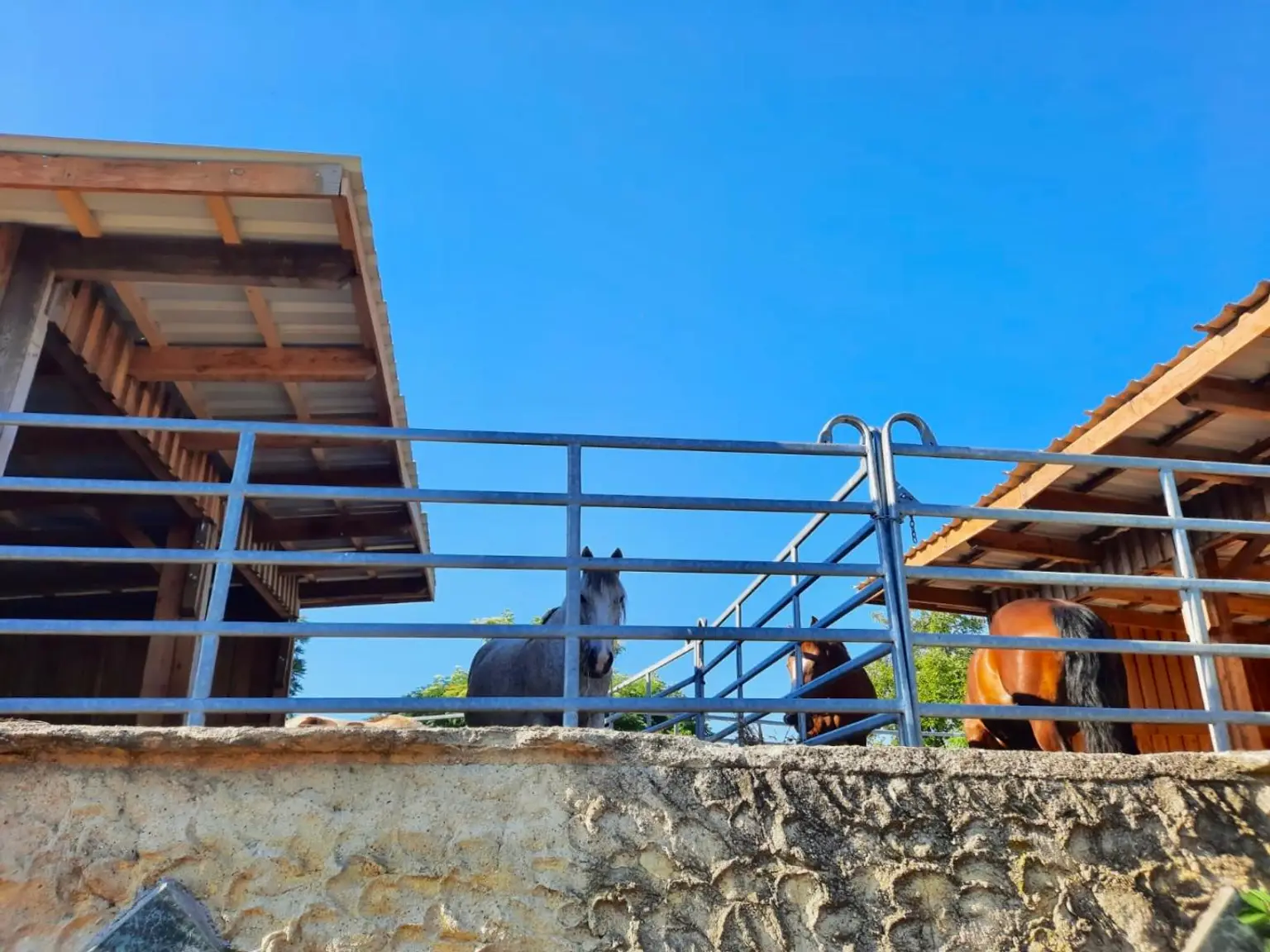 Reiterparadies im Weinviertel – Ihr Traum vom Landleben!