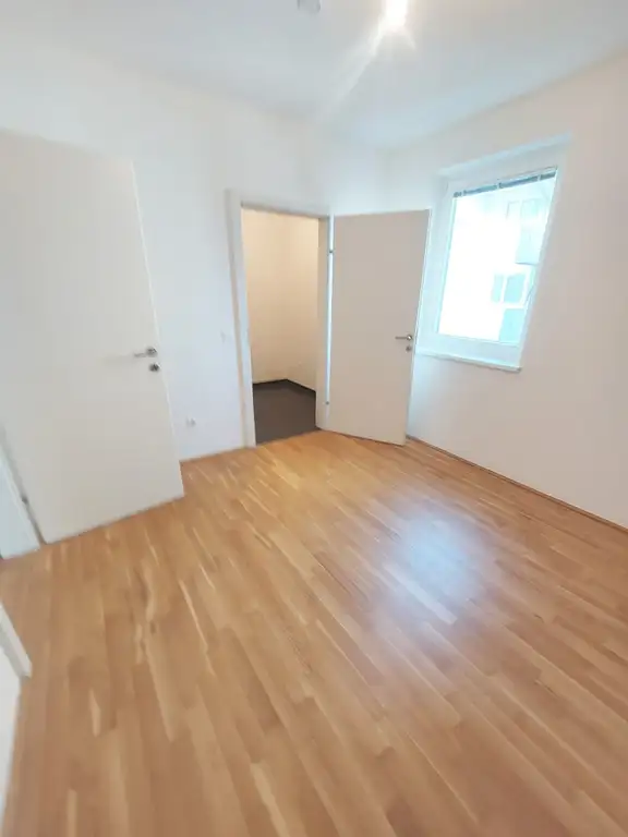 Zimmer I