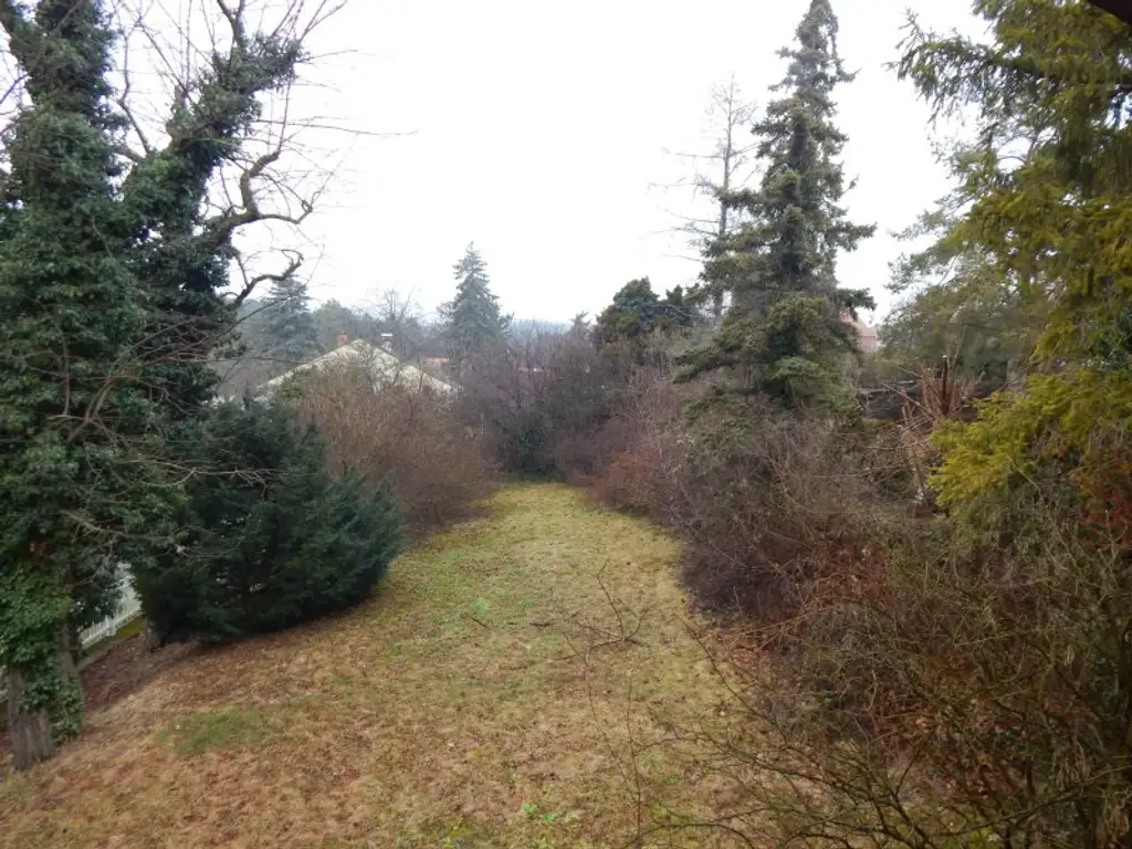 Bastlerhit mit großem Garten - ruhig in einer Sackgasse gelegen