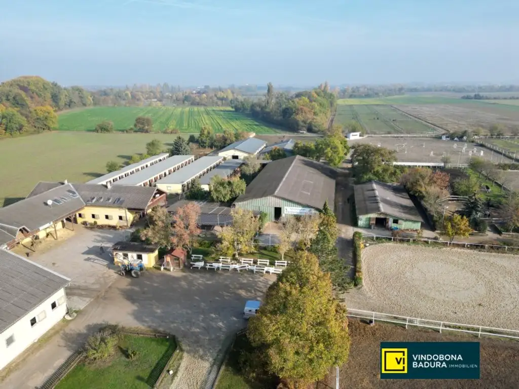 Exklusive Reitsportanlage vor den Toren Wiens – 145 Boxen | Reithallen | Reitplätze | Koppeln | Villa & Personalwohnungen
