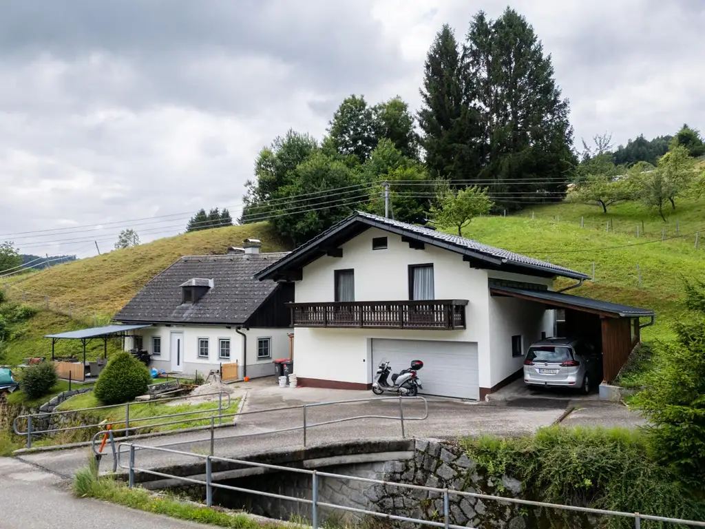 Traunsee - Altmünster - Reindlmühl,  Natur pur etwas abseits des Trubels