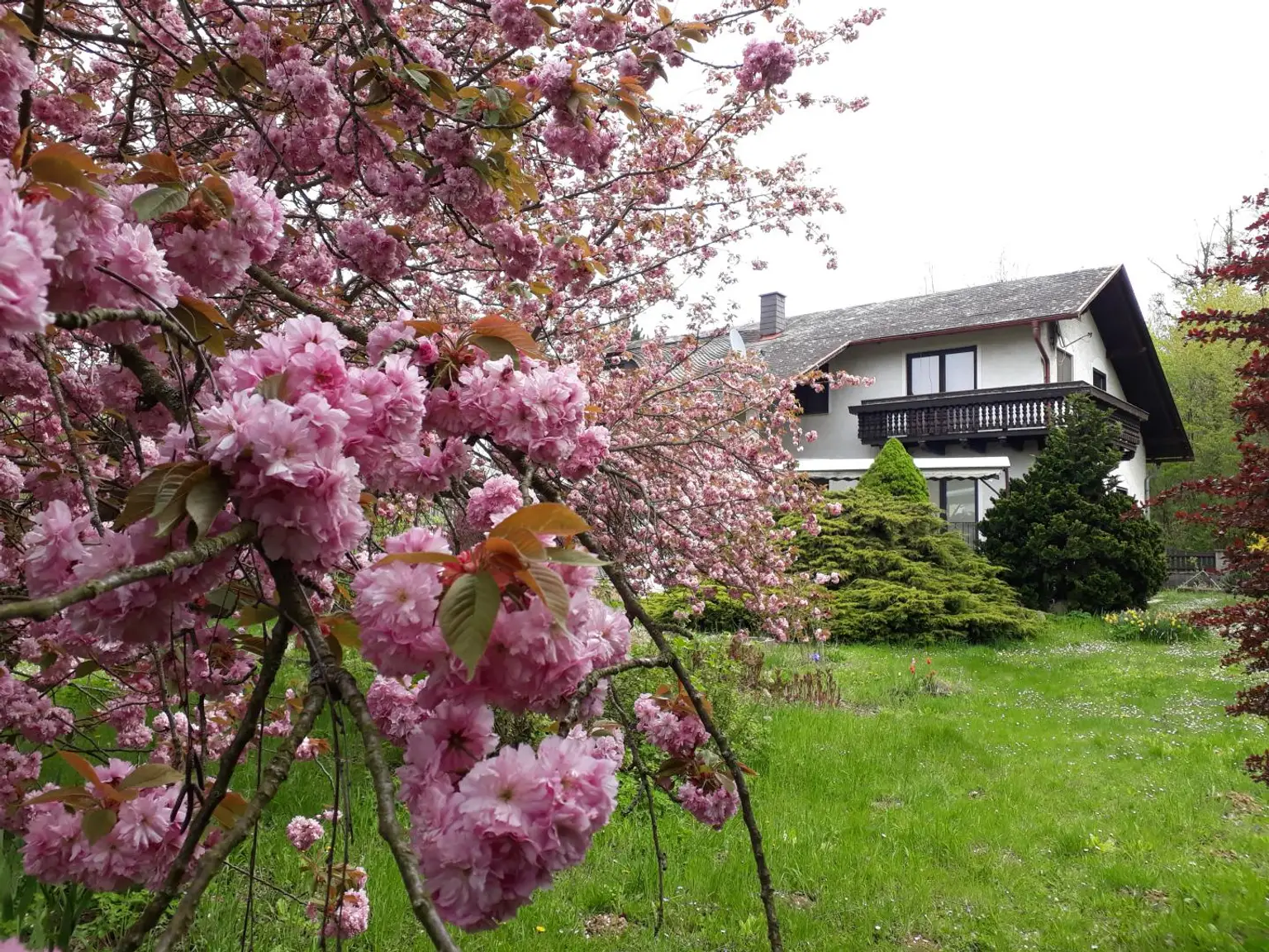 Absolut ruhig gelegen Villa mit überdachtem Pool, direkt am Waldrand auf 2.003 m² Grundstück.