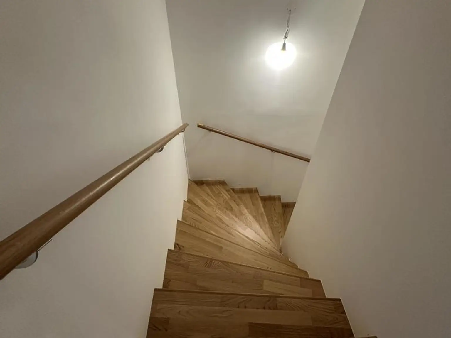 einen Katzensprung von Wien entfernt