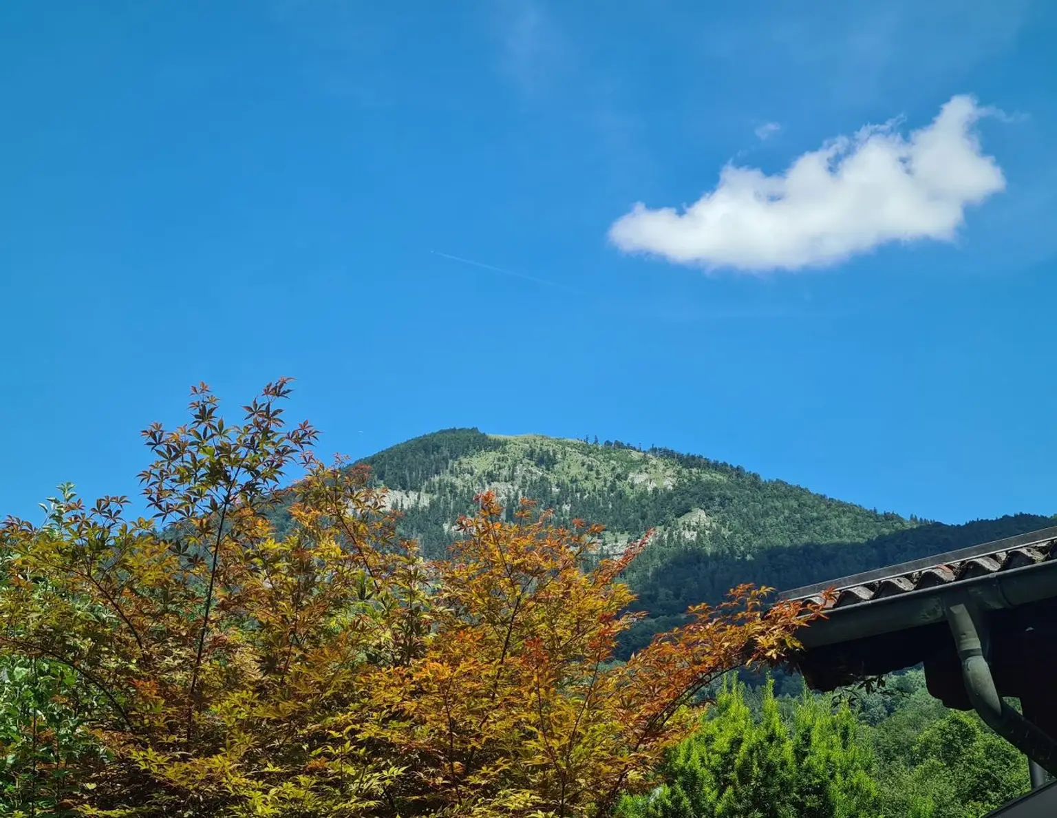 Baugrund in absoluter Top-Lage
