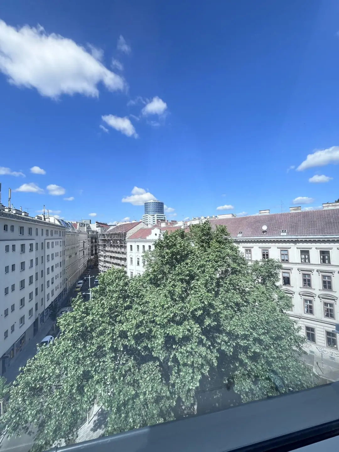 Ausblick