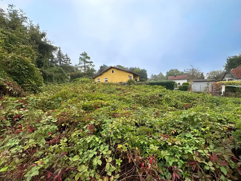 "Baugrundstück für Ihr neues Zuhause"