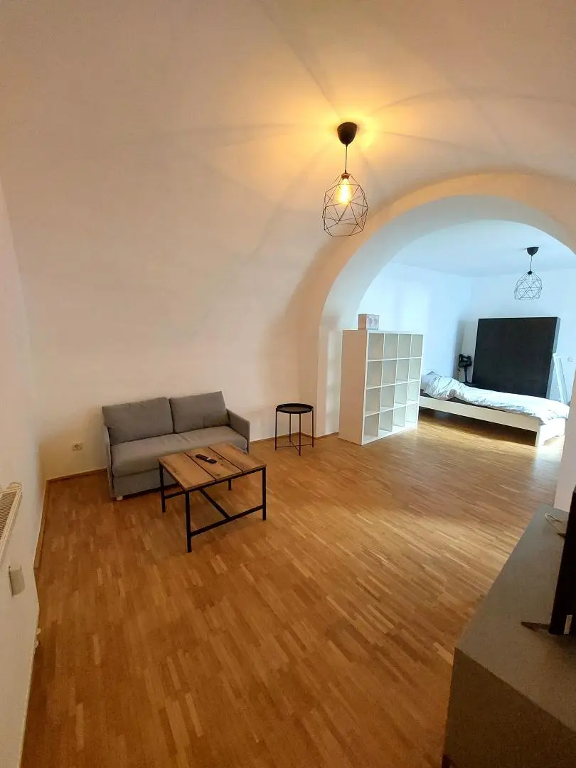Wohn- und Schlafzimmer