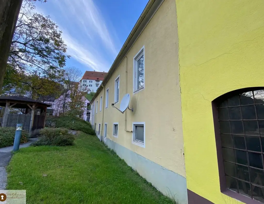 Attraktives Investitionsobjekt: Vielseitiges Zinshaus mit Potenzial in der Kärntnerstraße - Ihr zukünftiger Firmenstandort zum Kauf