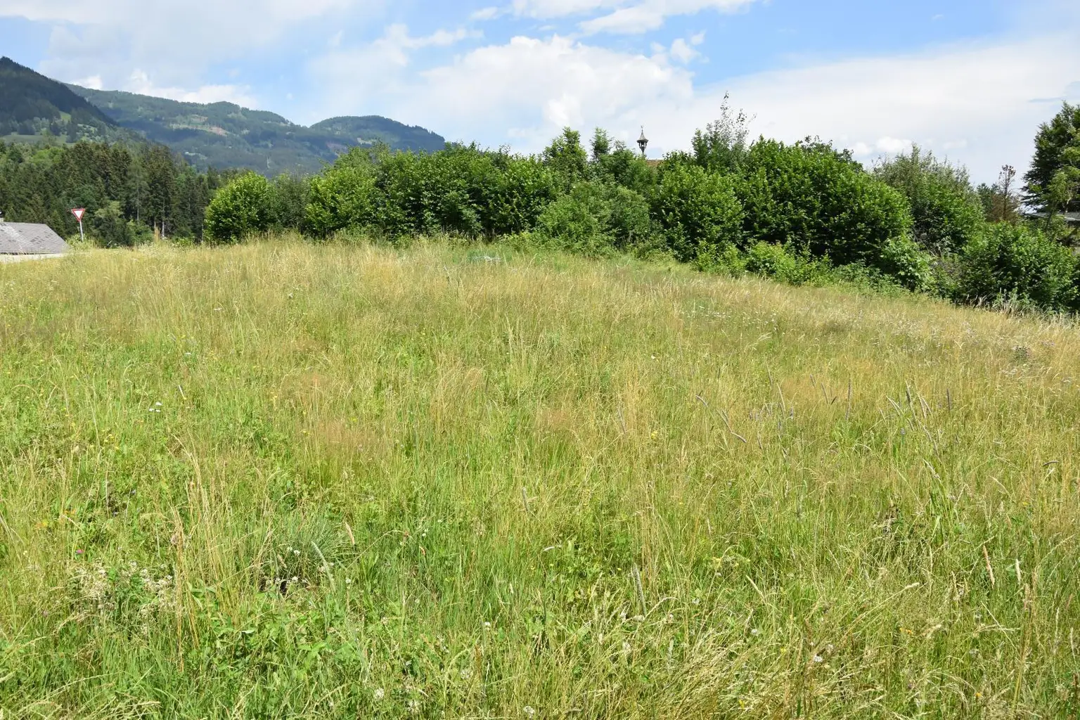 geplante Zufahrt bei der Hecke