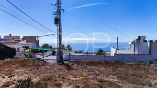 TOP-AS - Plot Tejina-13