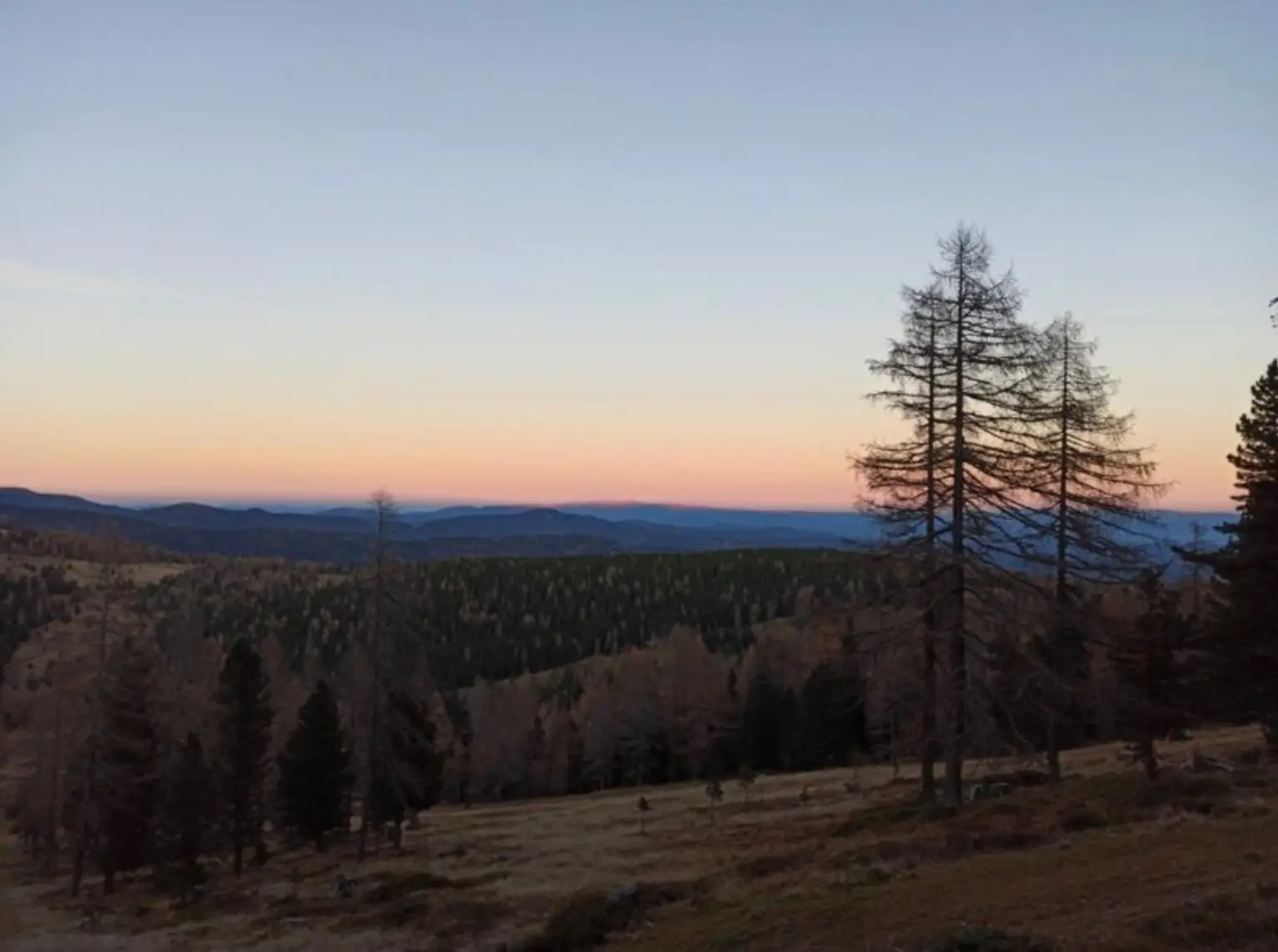 Ausblick