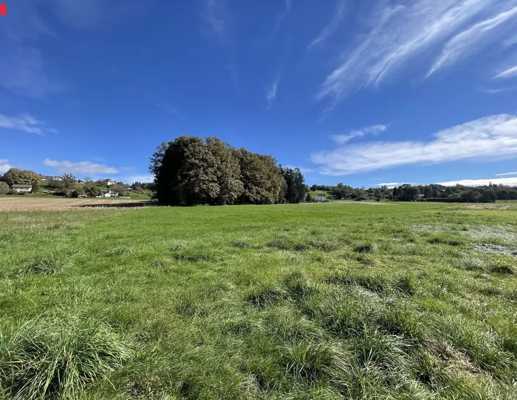 Sonniges Bauland in malerischer Landschaft