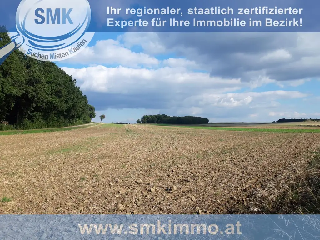 Acker bei Maissau - 3,42 ha landwirtschaftliche Nutzfläche!