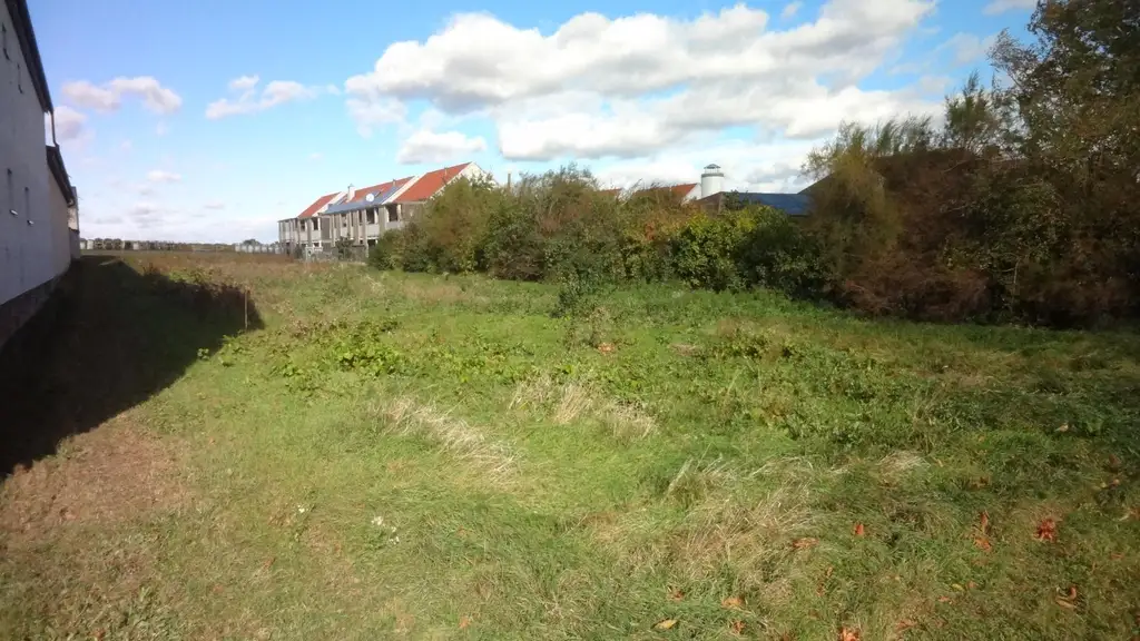 Aufgeschlossenes Grundstück in bester Lage am Ortsrand von Gols!