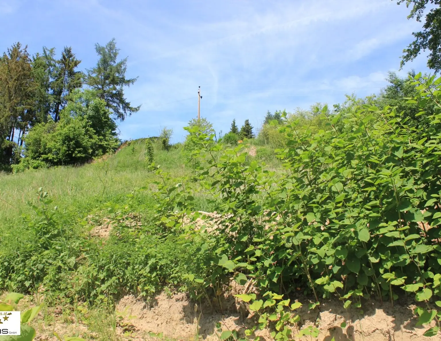 Baugrundstück mit traumhaftem Ausblick in Ruhelage, kein Bauzwang!