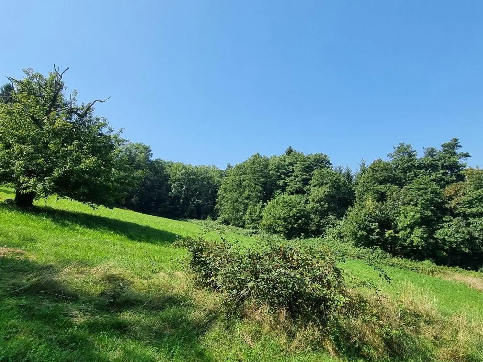NEUPARZELLIERUNG IN SCHÖNER RUHELAGE