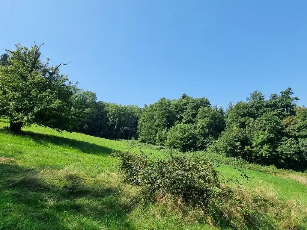 NEUPARZELLIERUNG IN SCHÖNER RUHELAGE