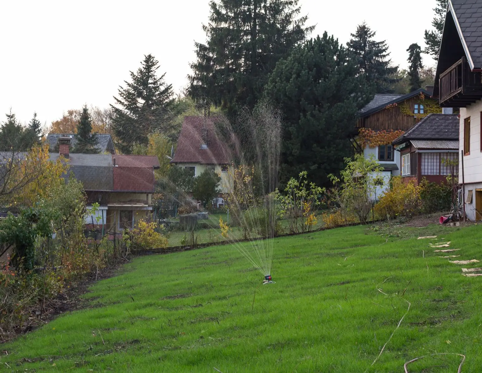 Kleingartengrundstück mit außergewöhnlicher Größe