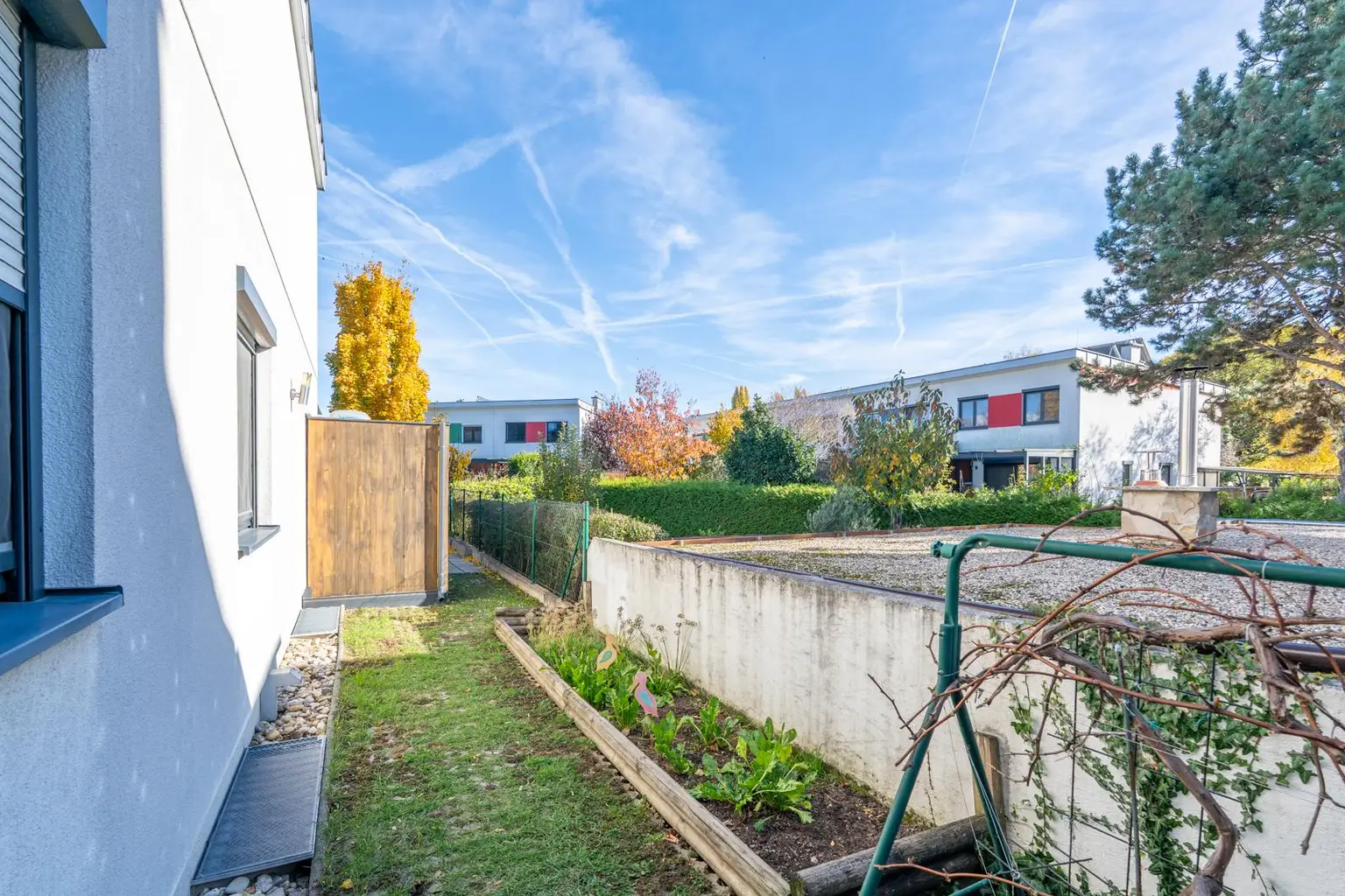 "Where the Alte Donau Becomes Home"