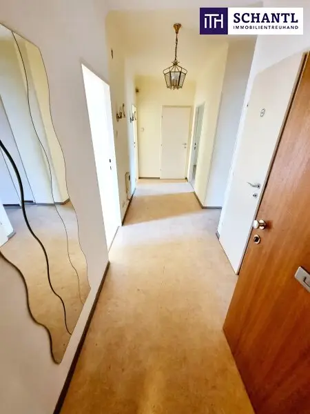 Absolute Grün- und Ruhelage! Gebraucht. Gepflegt. Geliebt! Perfekt aufgeteilte 3-Zimmer + separate Küche / 2 Balkone / Viele Möglichkeiten! Ruhig wohnen, gut leben!