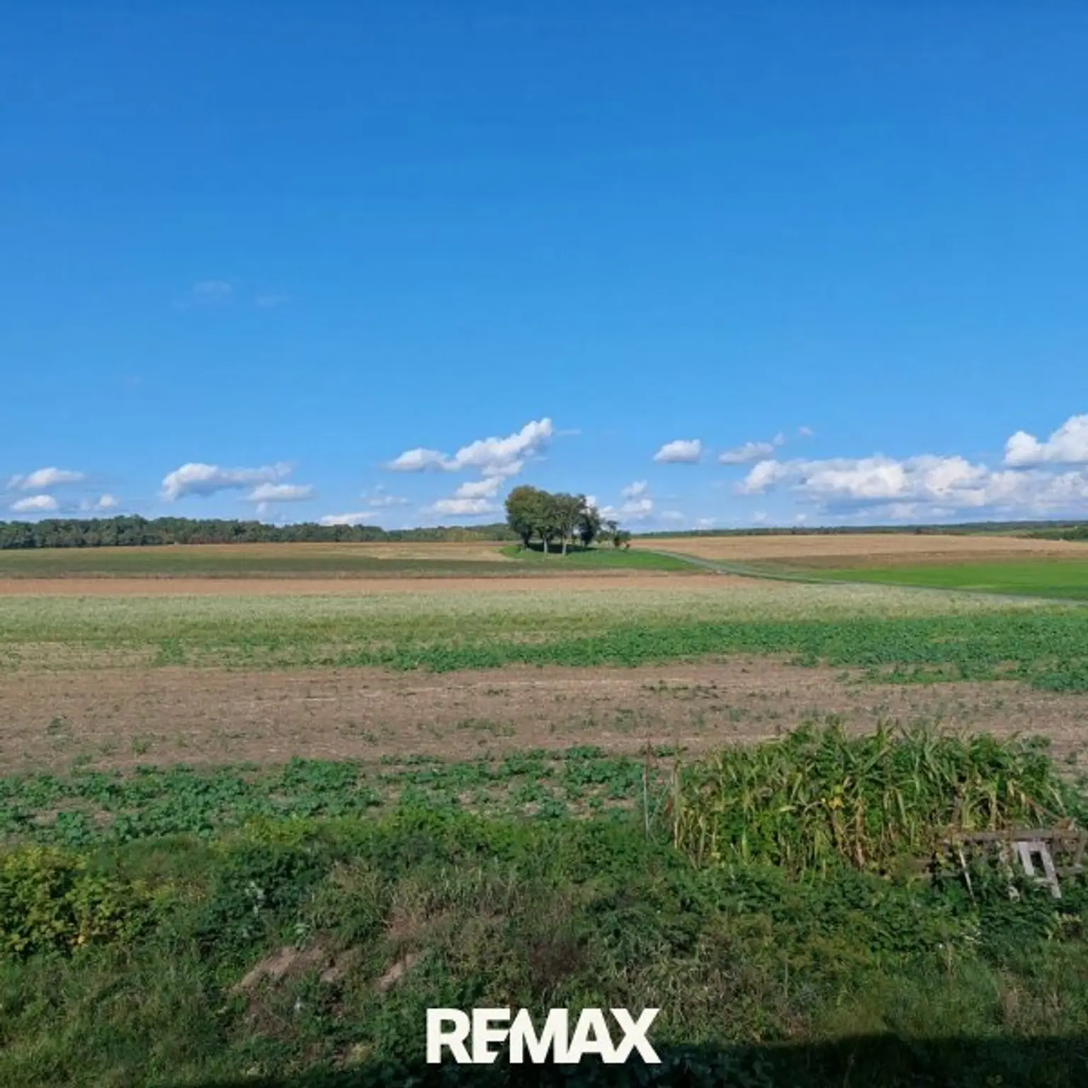 Sicht von der Terrasse aus in die Natur