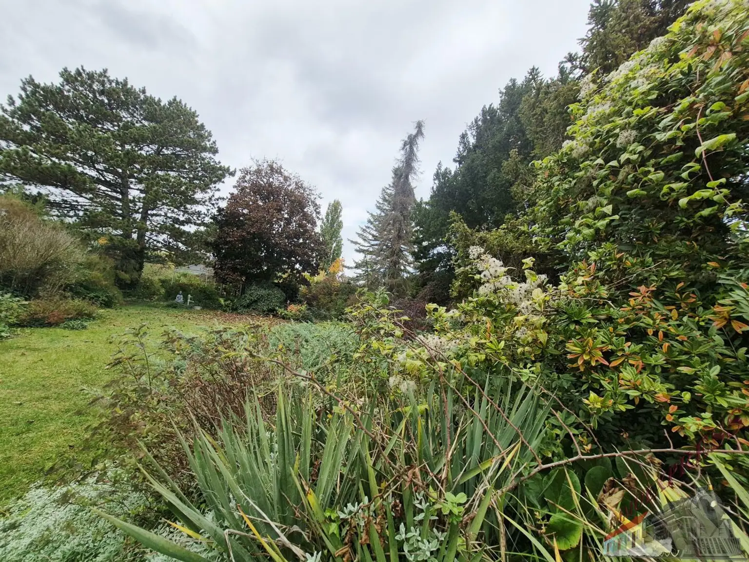 Großzügige 1341m2 Bauland mit Altbestand