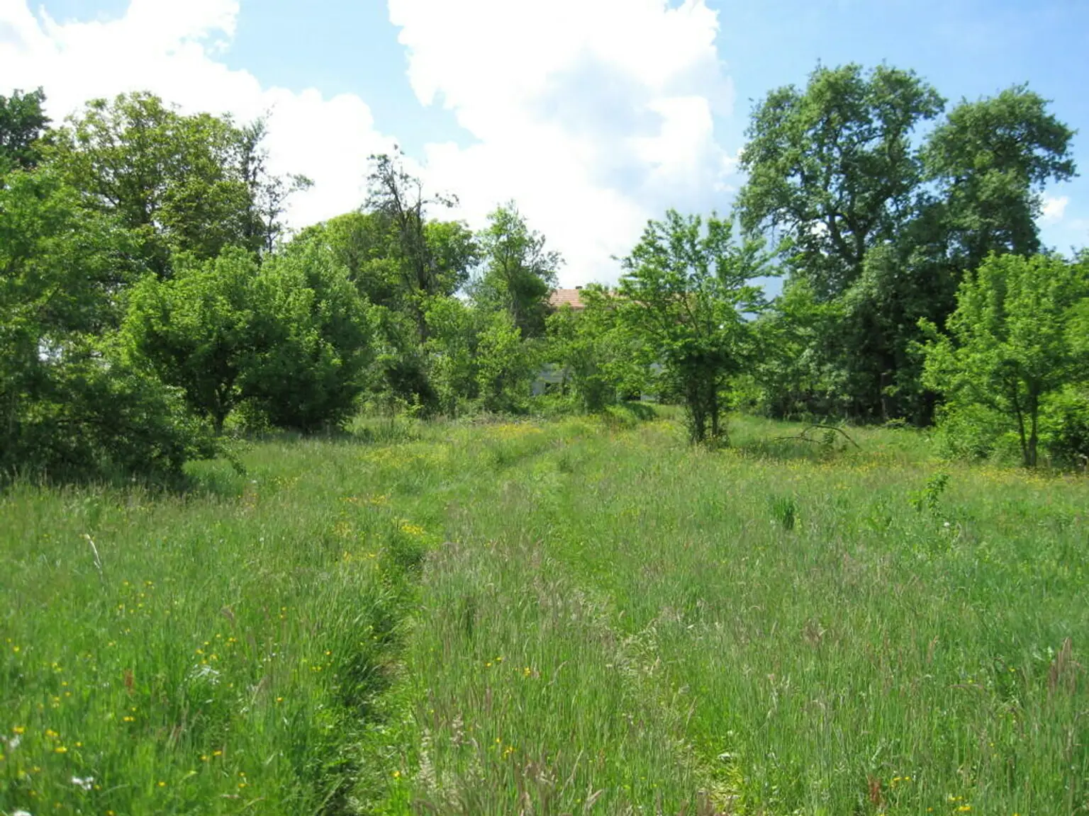 Anwesen bei Topusko 7 ha - 11