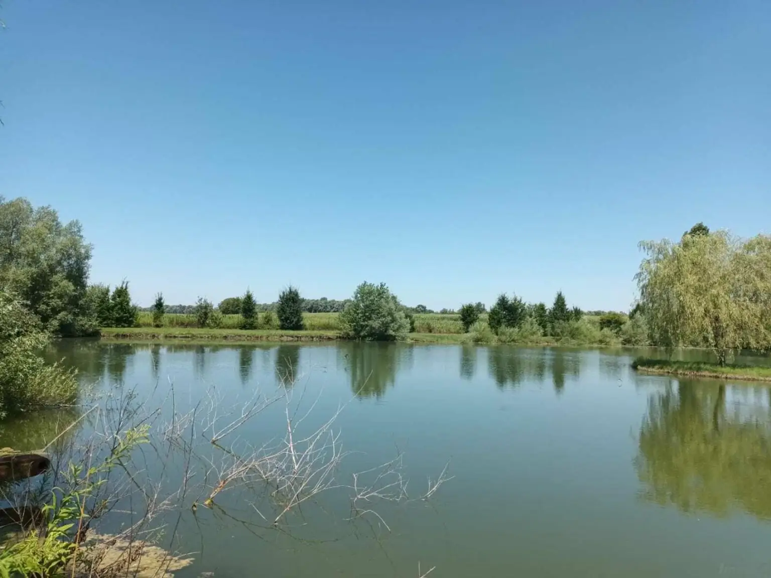 WhatsApp Image 2023-07-22 at 17.54.05