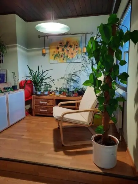 Verlieben sie sich in diese  ansprechende Immobilie in Bestlage  mit Grünblick