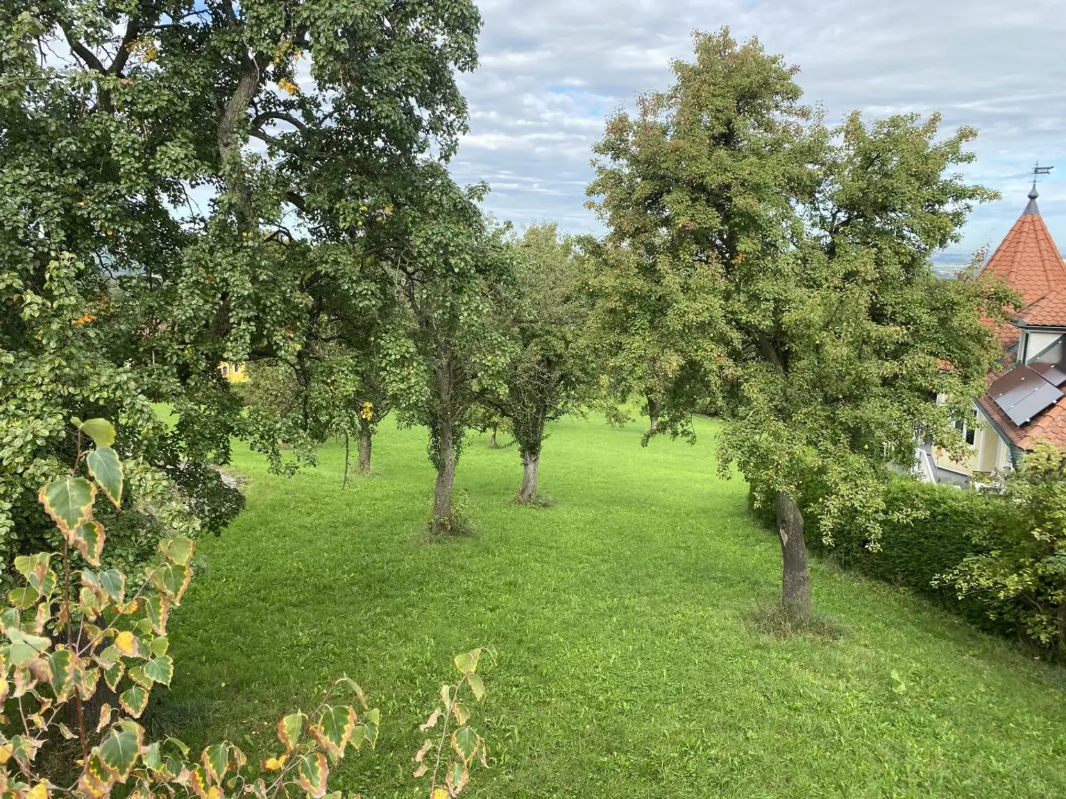 Aussicht Terrasse OG
