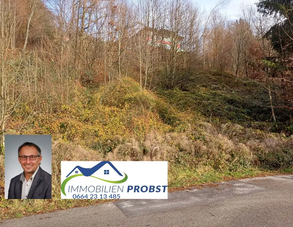 Bad Ischl - Hanggrundstück in schöner, ruhiger Lage