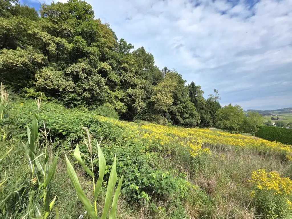 Wohnen am Waldrand mit Fernblick!